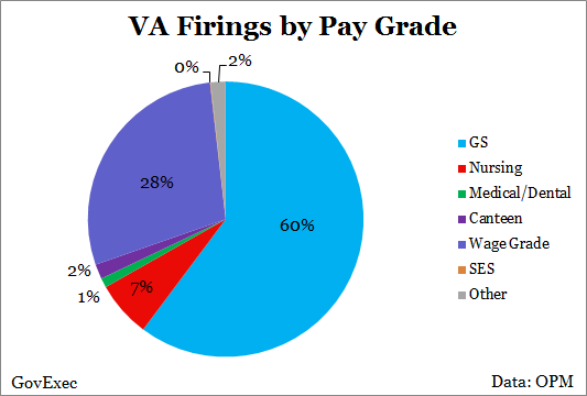 2013 Va Pay Chart